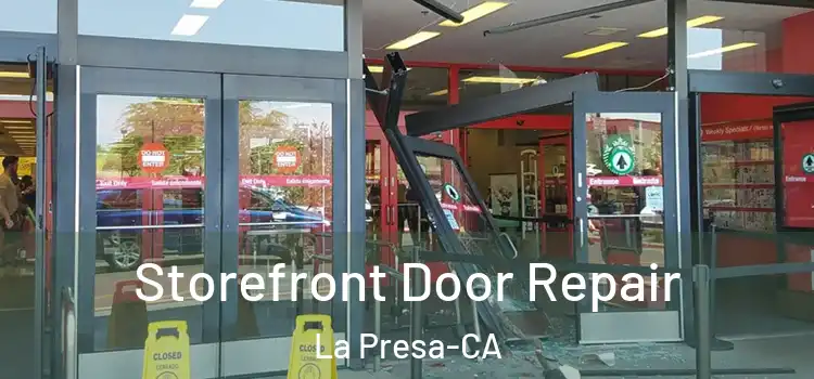 Storefront Door Repair La Presa-CA